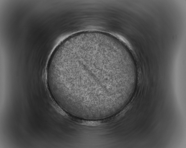 X0000086761280200705041441