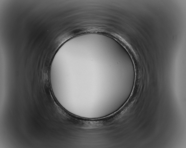 X0000086761281200705041441