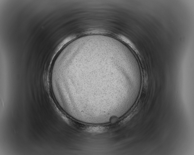 X0000086761282200705041441