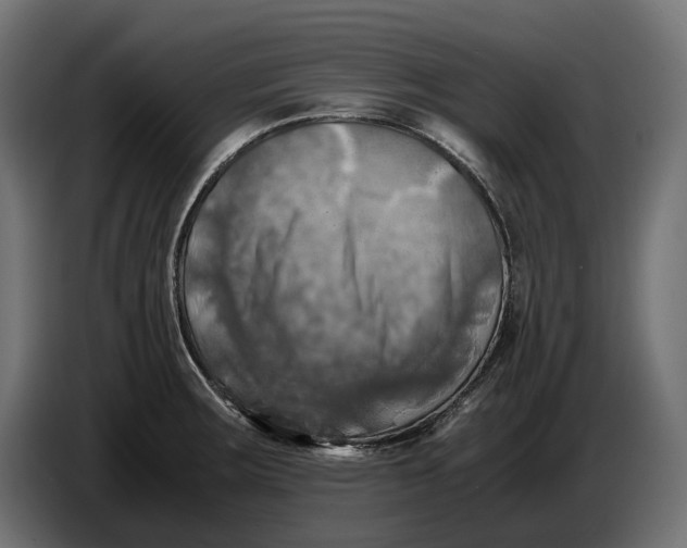 X0000086761283200705041441