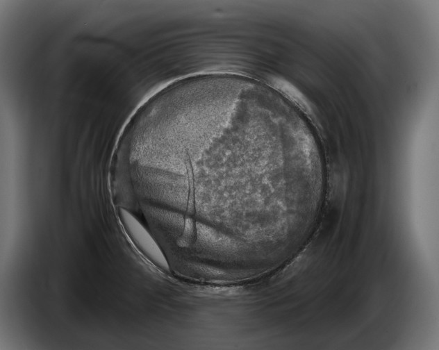 X0000086761284200705041441