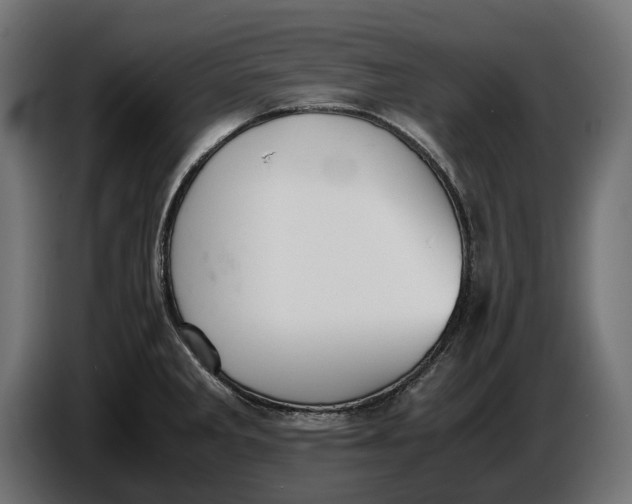 X0000086761285200705041441