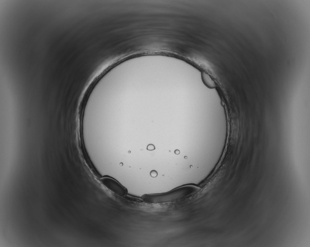 X0000086761286200705041441