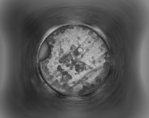 X0000086761287200705041441