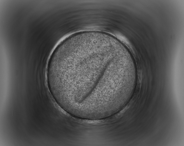 X0000086761288200705041441