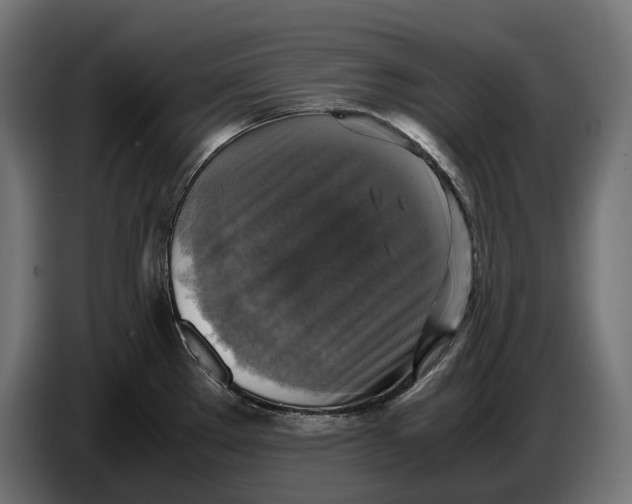 X0000086761289200705041441