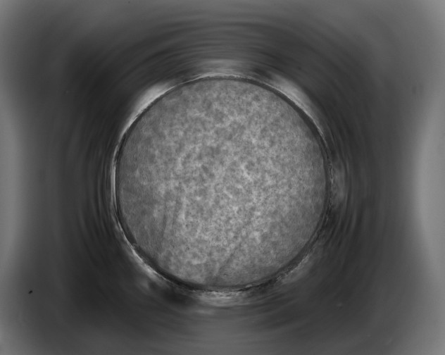 X0000086761290200705041441