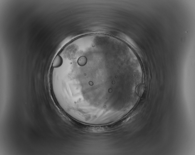 X0000086761291200705041441