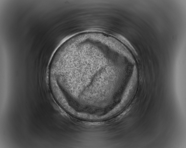 X0000086761292200705041441