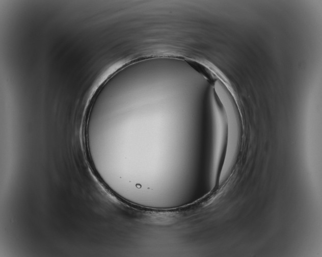 X0000086761293200705041440