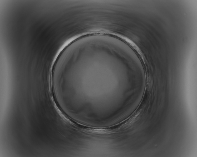 X0000086761295200705041440