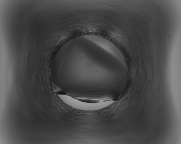 X0000086761297200705041440