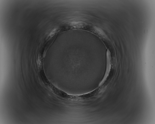 X0000086761298200705041440