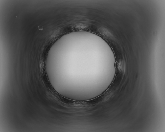 X0000086761299200705041440