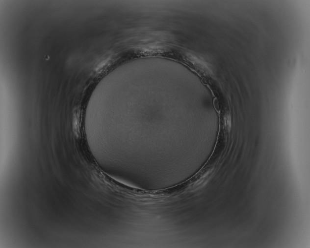 X0000086761300200705041440