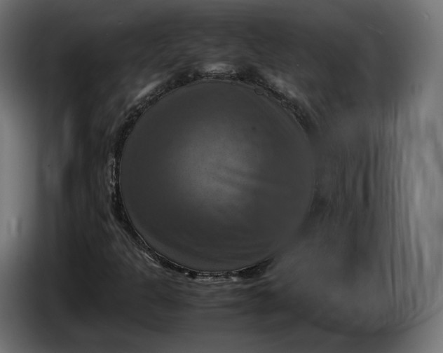 X0000086761301200705041440