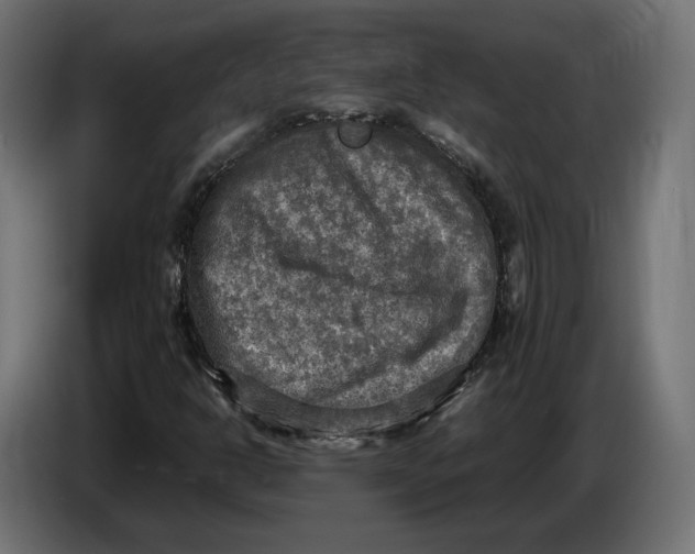 X0000086761302200705041440