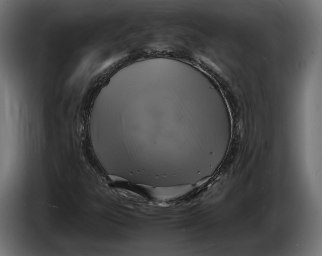 X0000086761303200705041440