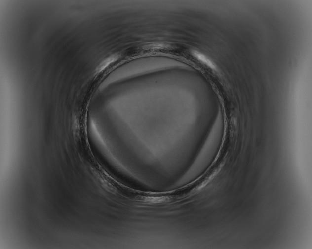 X0000086761305200705041440