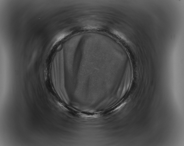 X0000086761306200705041440