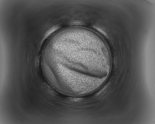 X0000086761309200705041440