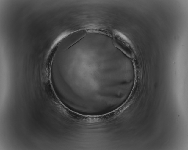 X0000086761310200705041440