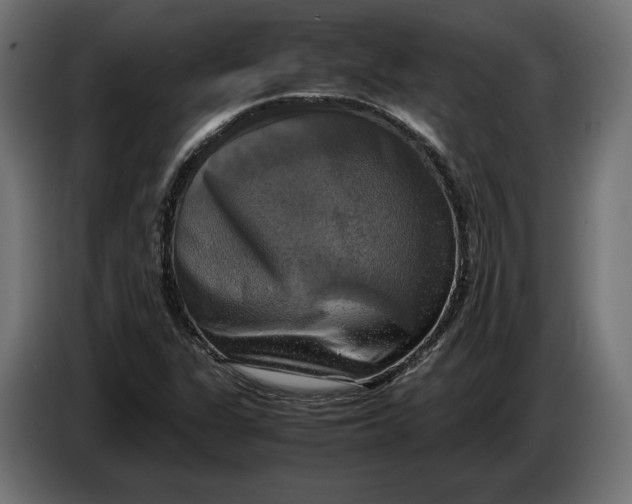 X0000086761311200705041440