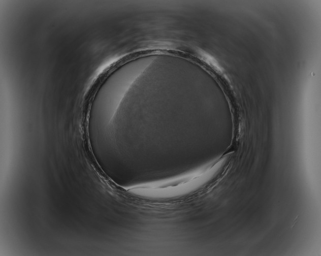 X0000086761312200705041440