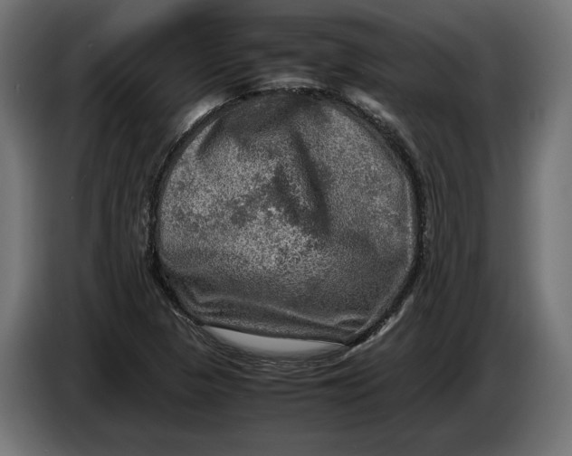 X0000086761313200705041440