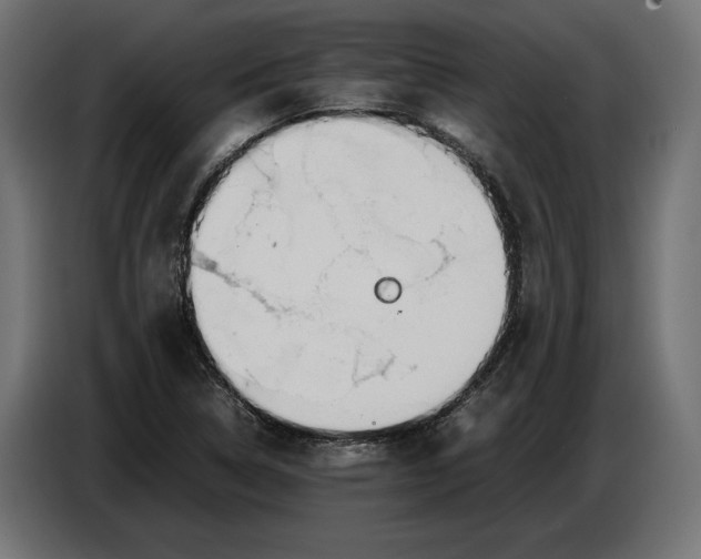 X0000086761314200705041440