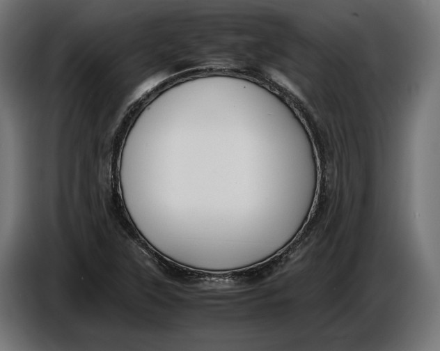 X0000086761315200705041440