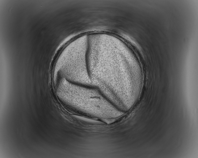 X0000086761316200705041440