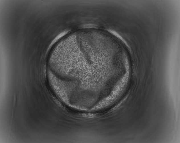 X0000086761317200705041440