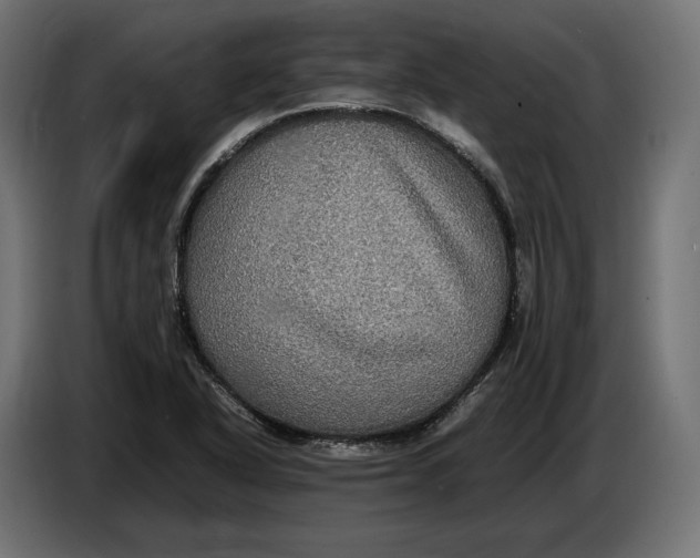 X0000086761318200705041440