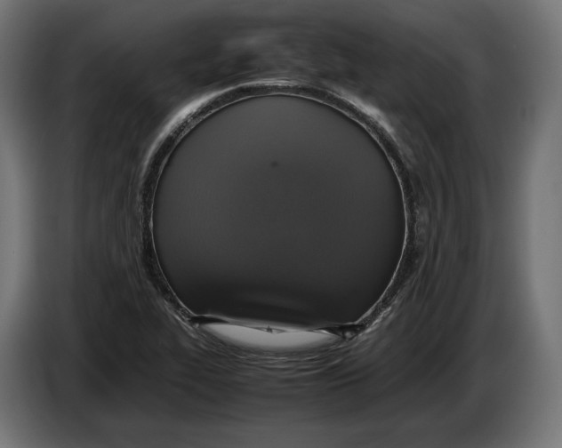 X0000086761319200705041440