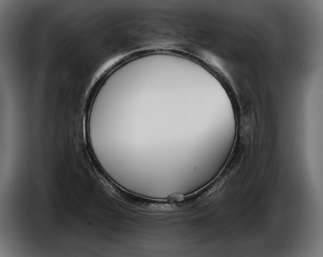 X0000086761320200705041440