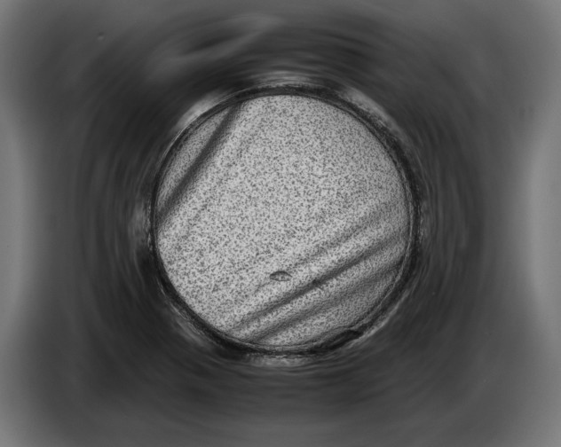 X0000086761321200705041440