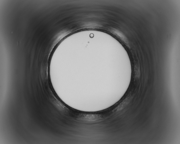 X0000086761322200705041440