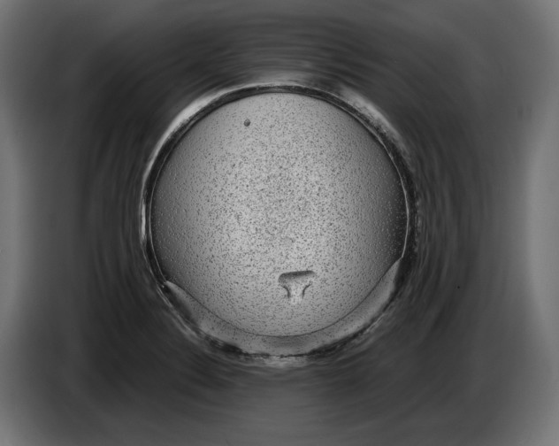 X0000086761324200705041440