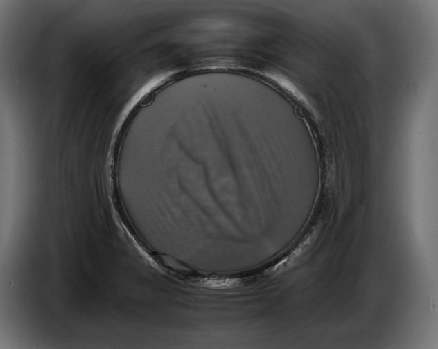 X0000086761325200705041440