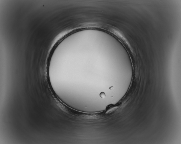 X0000086761328200705041440