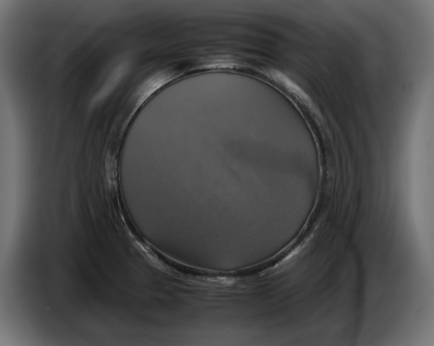 X0000086761329200705041440