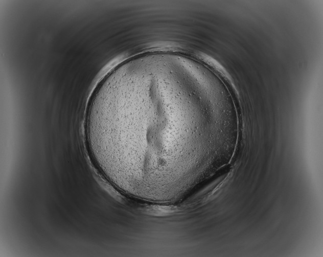 X0000086761330200705041440