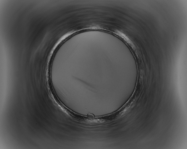 X0000086761331200705041440