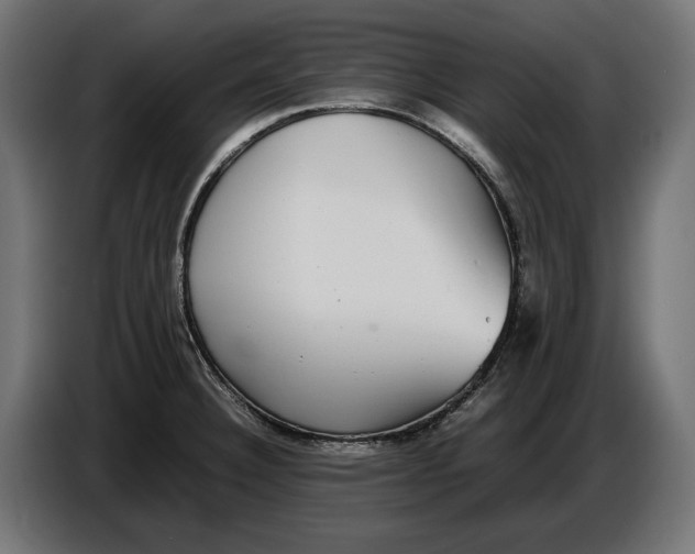 X0000086761332200705041440