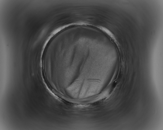 X0000086761335200705041440