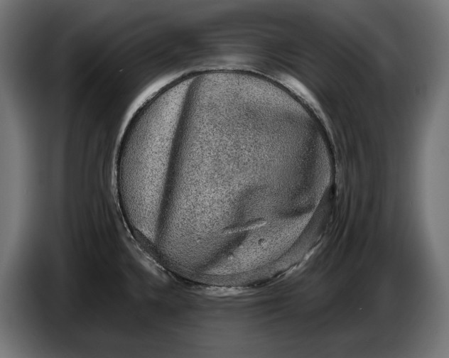 X0000086761336200705041440