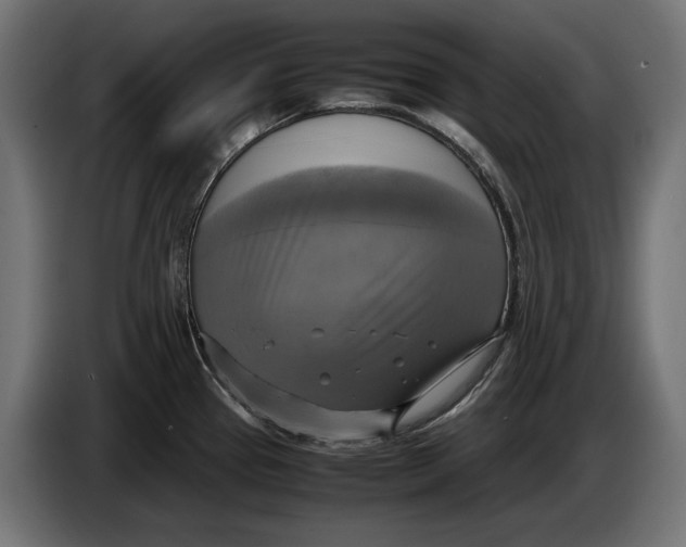 X0000086761337200705041440