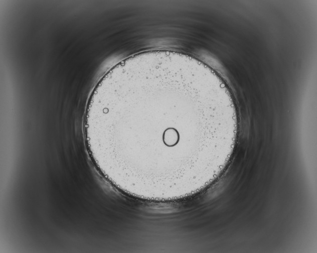 X0000086761338200705041440