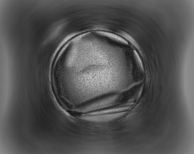 X0000086761339200705041440